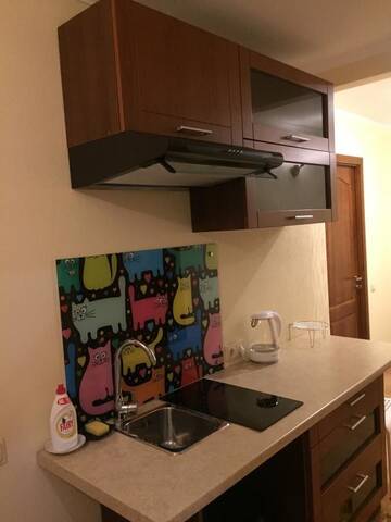 Фото номера Полулюкс с сауной Апартаменты Cat Garden Riga Airport Apartments г. Mežares 12