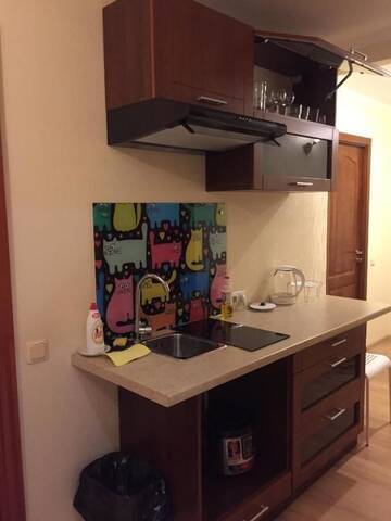 Фото номера Полулюкс с сауной Апартаменты Cat Garden Riga Airport Apartments г. Mežares 87